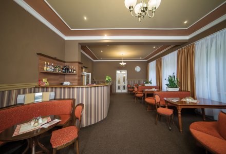 Hotelbar im Kurhotel Dr. Adler in Franzensbad