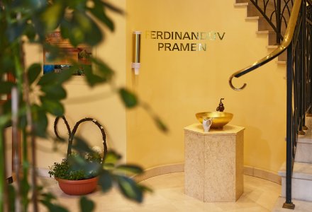 Brunnen mit Wasser der Ferdinandquelle im Ensana Health Spa Hotel Butterfly in Marienbad © Foodlydoodlydoo.com