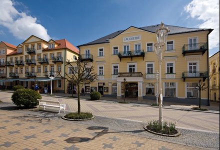 Goethe Spa&Medical Hotel in Franzensbad