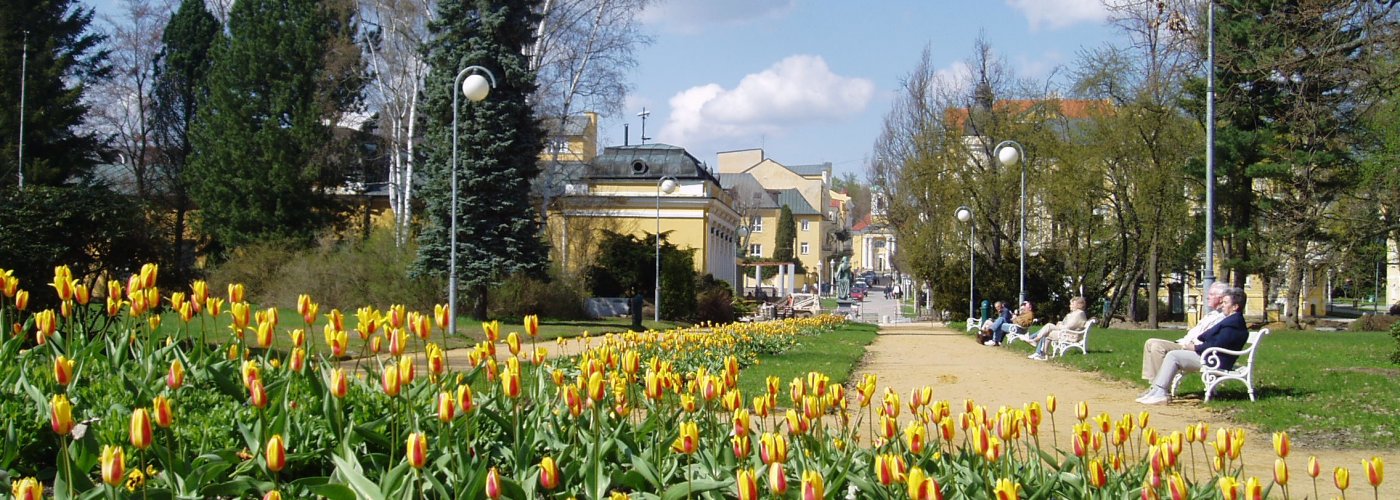 Blick auf die Jiraskova-Straße in Franzensbad